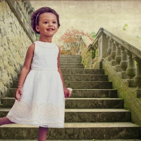 NWT Janie and Jack Savanna Soiree Embroidered Organza Dress Size 2T - Picture 1 of 5